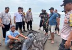 Polri  Sigap Tangani Paus Sperma Kerdil Terdampar  di Pantai Tembles Mendoyo